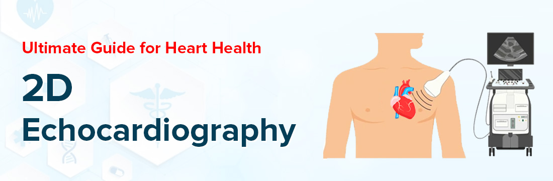 2D Echocardiography: Ultimate Guide for Heart Health